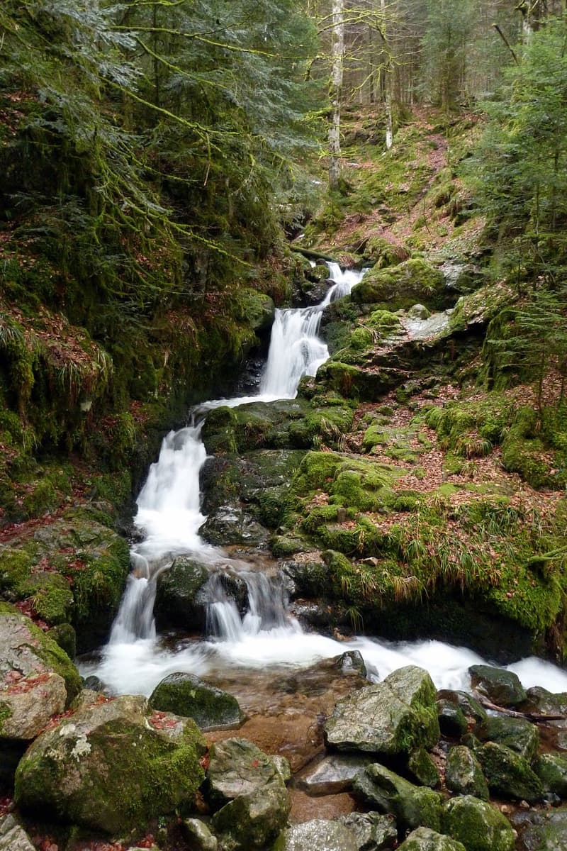 Cascade forestière encaissée dans un cirque rocheux des Vosges
