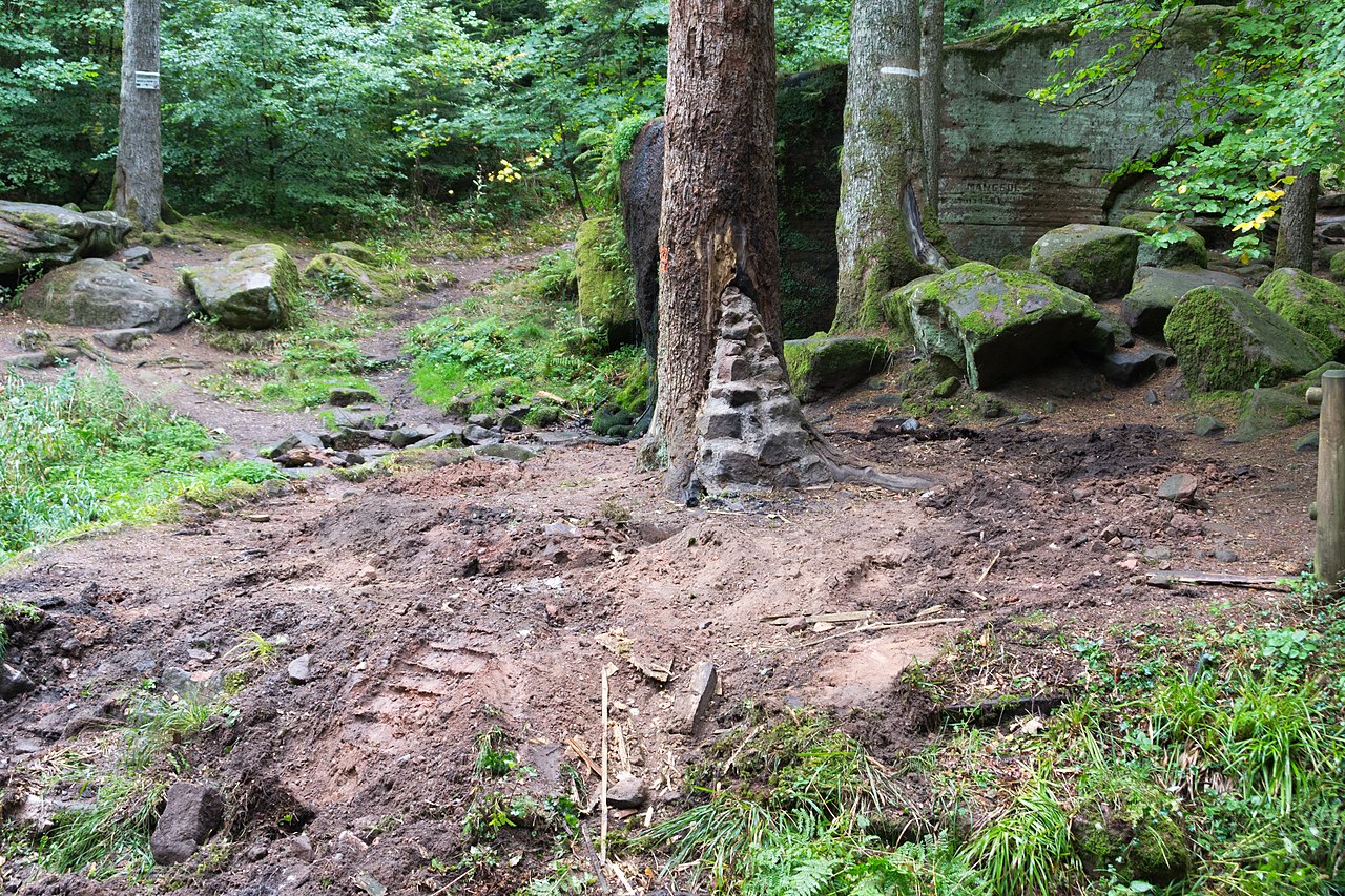 Waar overnachten in La Bresse 2026: de wijkengids (met echte budgetten)