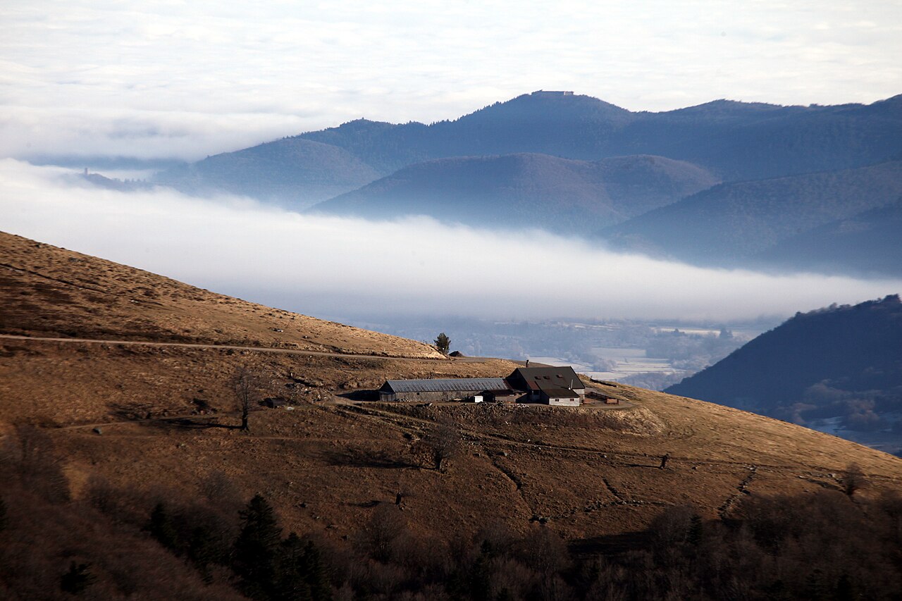 Waar eten in La Bresse: geteste adressen en opties per budget