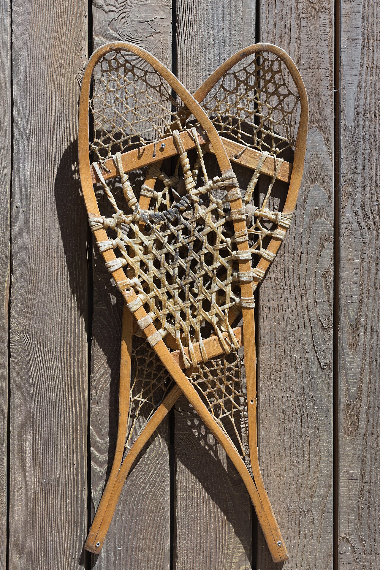 Sneeuwschoenwandelen op een bospad in de Vogezen