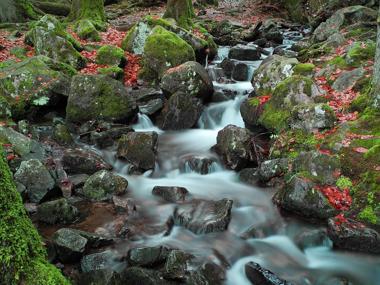 Cascade de Tendon : la plus belle chute d'eau des Vosges