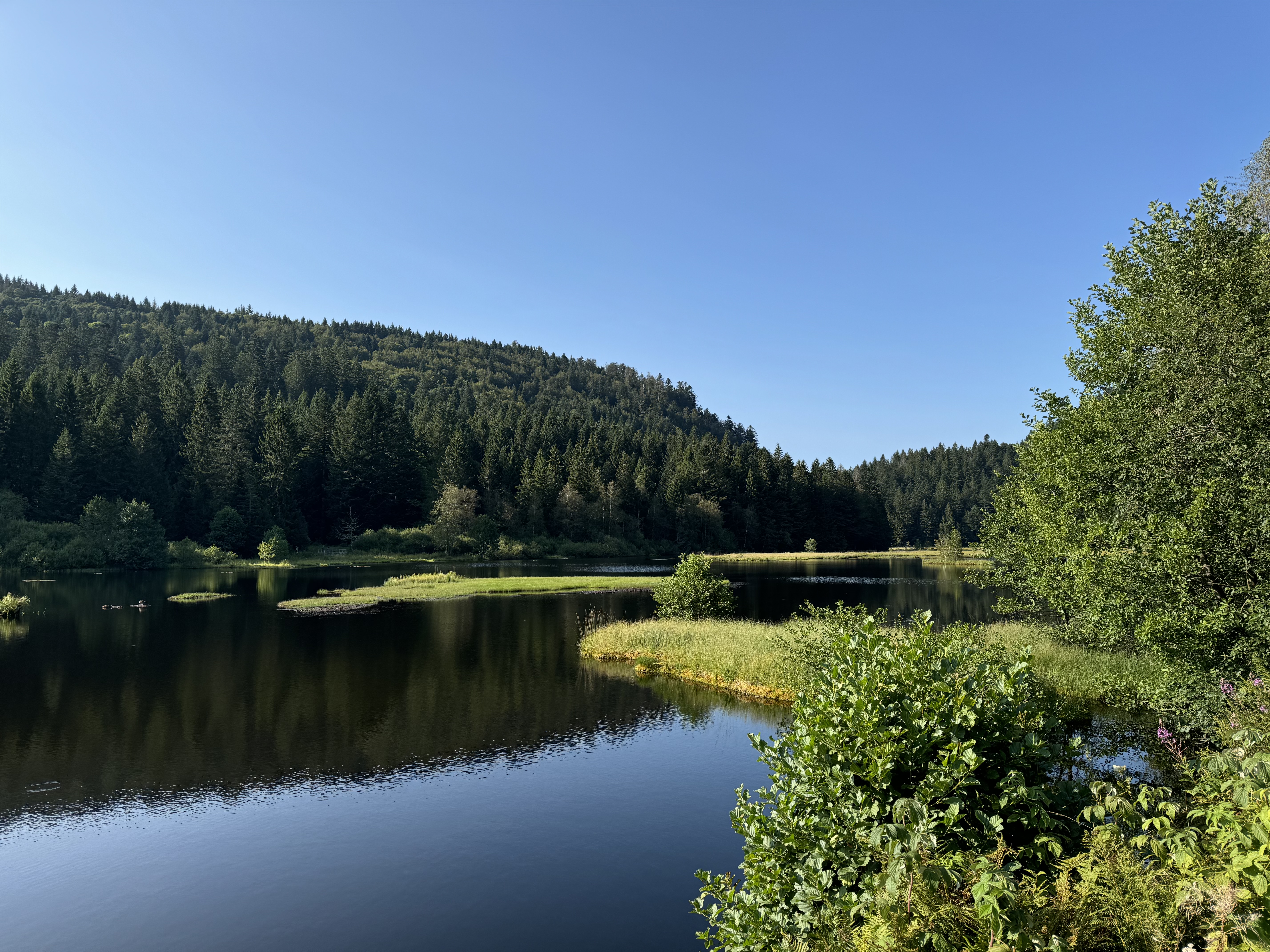 Bain nordique sous la neige au chalet privatif