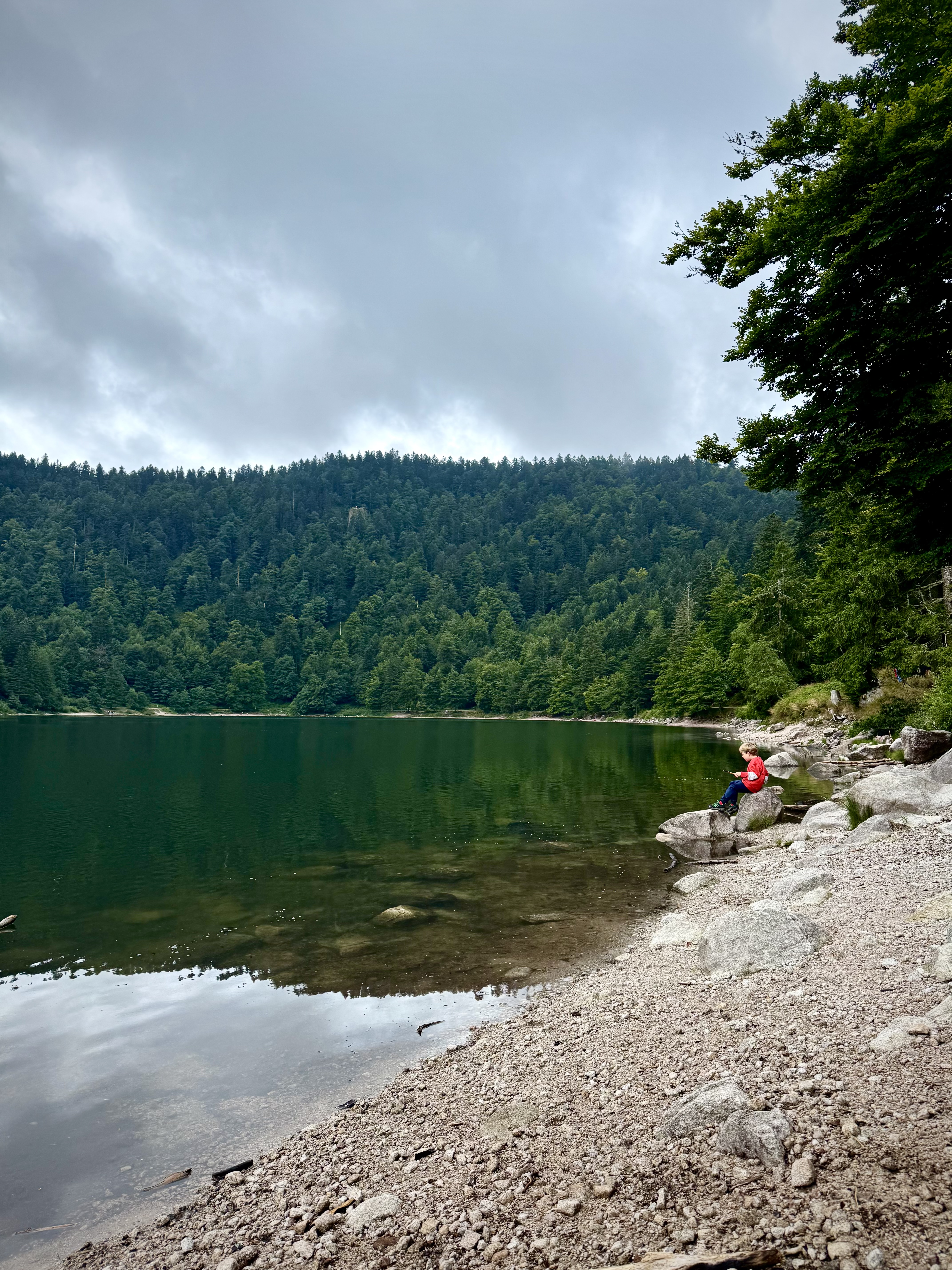 Chalet Panorama - photo 4